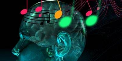 Estudi Musica, La música como gimnasia cerebral